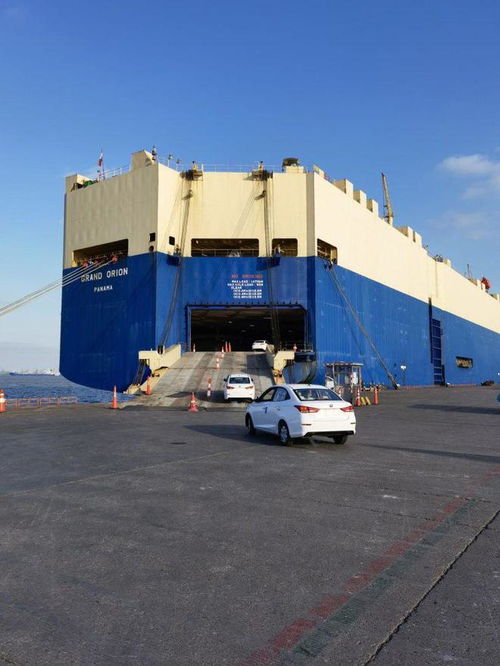 上半年兩江新區外貿進出口超1600億元 國內貿易代理發揮關鍵作用