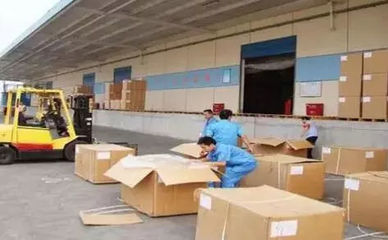 如何減免進出口貨物滯報金 國內貿易代理操作指南