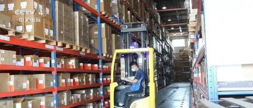 穩(wěn)規(guī)模、提質量，出口動能換擋中產(chǎn)品結構優(yōu)化升級